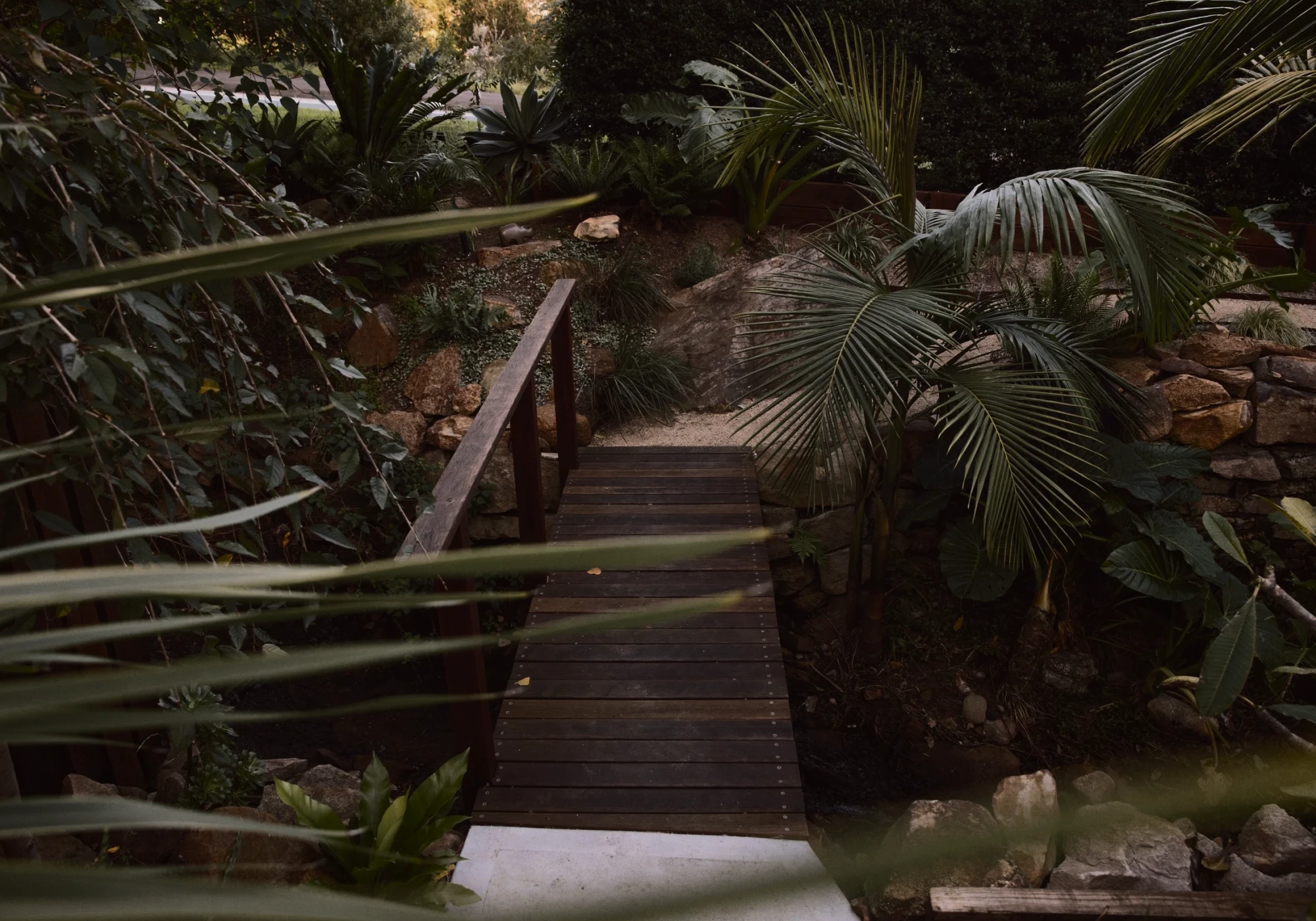 Timber bridge walkway through lush tropical garden